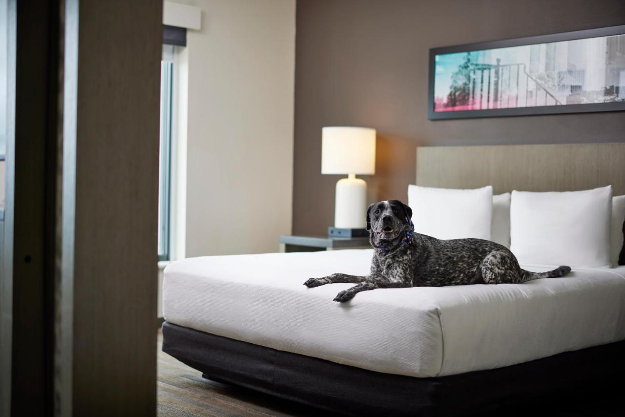 Hyatt House Denver/Downtown Eksteriør bilde
